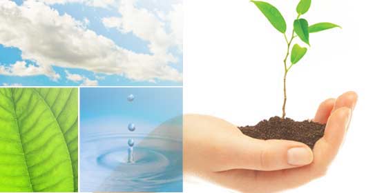 desarollo-sustentable-14