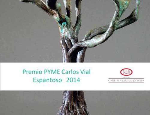 Premio-PYME-Fundación-Carlos-Vial-14