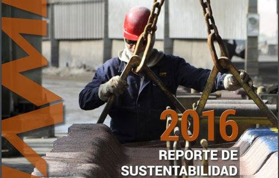 reporte-ENAMI